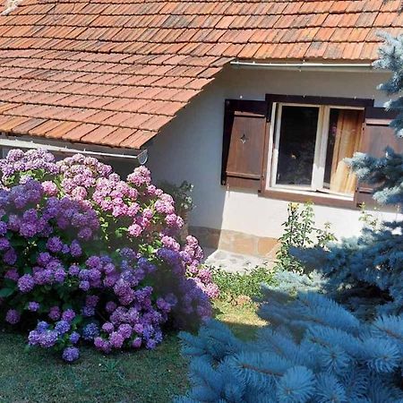 Apartman Nebojsa Rudnik Exterior photo